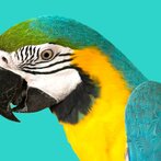 nity CU s polgul. hl. 2,5x10 DIN 660