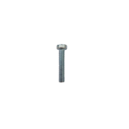 skr VH PL DR 6x 60 DIN 84 ZN